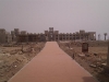 IMAG0190
